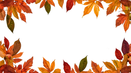 dry colorful leaves on transparent background . Autumn leaves frame. frame made of leaves. 