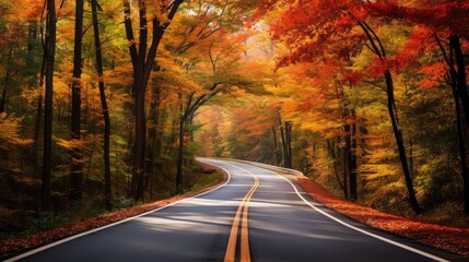 Obraz premium road in autumn