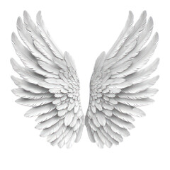 Obraz premium Elegant pair of white angel wings displayed against a clean background, symbolizing purity, grace, and spirituality.