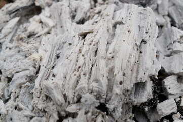 A photo of the ashes. The background image.