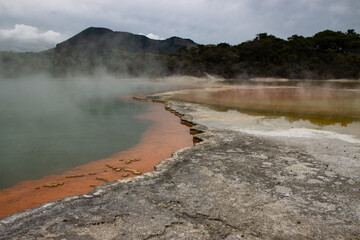 Champagne Pool: The Enchanting Thermal Spring of New Zealand's Wai-O-Tapu Wonderland