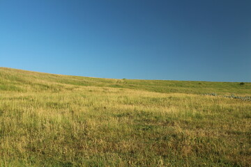 A grassy field with blue sky with Konza Prairie Natural Area in the background