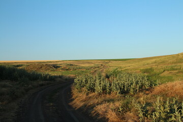 A road through a field