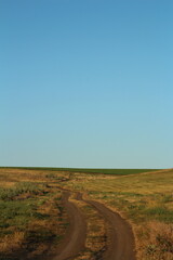 A dirt road through a field