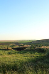 A grassy field with a rainbow in the sky