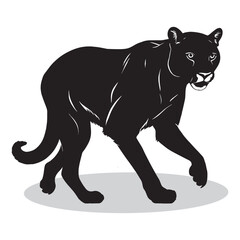 Cougar silhouettes and icons. black flat color simple elegant white background Cougar animal vector and illustration.