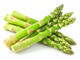 A fresh bunch of green asparagus spears tied together with twine on a white background.
