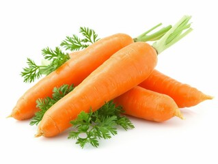 Fresh bunch of carrots with green leaves on a white background.