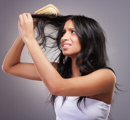 Brush, frustrated and woman with hair knot for grooming mistake, problem and scalp pain in studio....