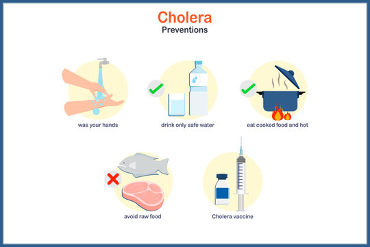 Medical illustration concept in flat style of cholera, cholera prevention. Eat cooked food, avoid raw meat, raw seafood. Drink clean water Wash your hands often with soap and water and cholera vaccine