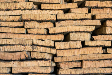 Cork in Line: Organic Wood Background.