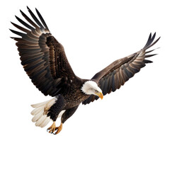 A majestic bald eagle in mid-flight with wings spread wide. Perfect for wildlife, nature, and bird photography enthusiasts. isolated on transparent background.