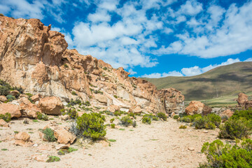 Fototapeta premium View of the Valle de Rocas (Valley of Rocks) at Eduardo Avaroa Andean Fauna National Reserve - Bolivia