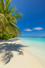 Summer beach landscape. Tropical island paradise. Exotic coast, palm trees, pristine sea, blue...