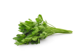 Green fresh parsley bunch isolated on white background closeup. Mediterranean herbs and spices, nutrition design elements.