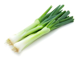 Fototapeta premium A bunch of fresh green leek tied together with a green rubber band, isolated on a white background.