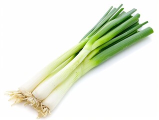 A bunch of fresh green leek tied together with a green rubber band, isolated on a white background.