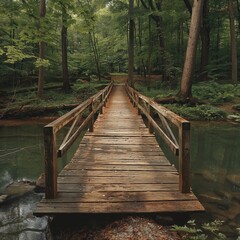 A wooden bridge over a tranquil creek, with the natural patina and wear of the wood blending seamlessly into the surrounding forest, creating a path that connects man with nature.