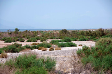 Sand Dunes at the Salton Sea in the California Desert