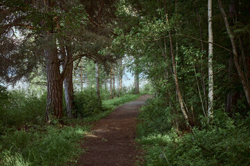 Footpath of Kapp at Toten and Lake Mjosa, Norway.