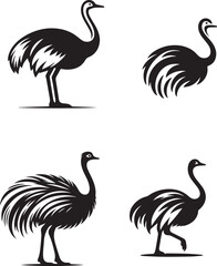 Ostrich silhouette vector illustration