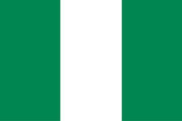 nigeria flag - vector illustration