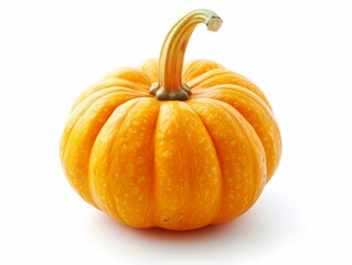 Obraz premium Pumpkin with a green stem, isolated on a white background.