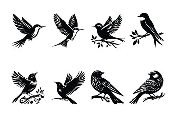 Fototapeta premium Bird Vector Silhouette Illustration