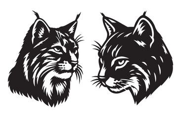 bobcat vector illustration