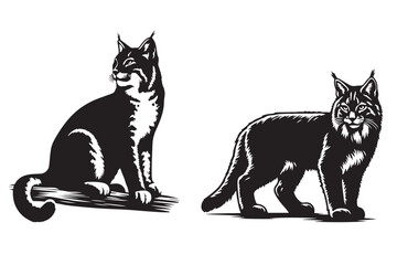bobcat vector illustration