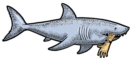Shark with bitten off hand in mouth color sketch engraving PNG illustration. Tee shirt apparel print design. Scratch board style imitation. Black and white hand drawn image.