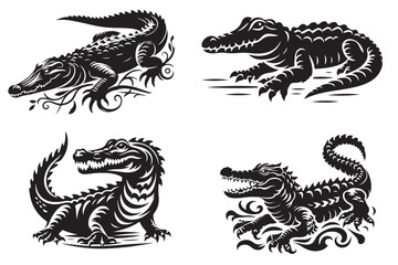  Crocodile Photos