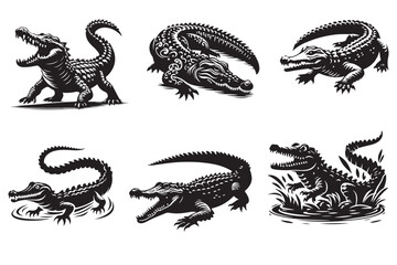  Crocodile Photos