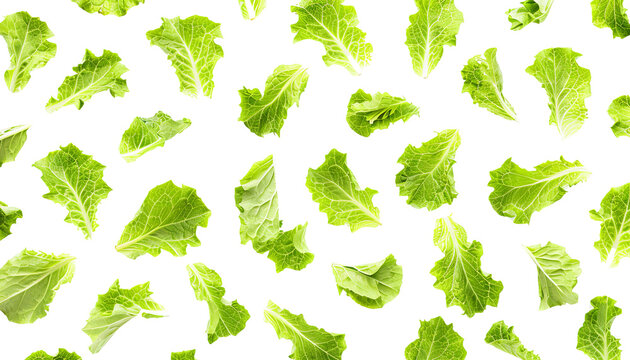 Green lettuce leaves arranged on a black background, creating a fresh and healthy pattern ideal for culinary or dietary concepts.