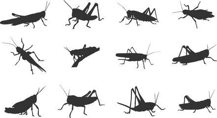 Grasshopper silhouettes, Clipart grasshopper, Grasshopper svg, Grasshoppers silhouette, Grasshopper vector set