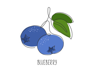 Continuous line drawn blueberry. Branch of fresh ripe berry. Abstract natural fruit. Healthy vitamin food ingredient. Summer illustration