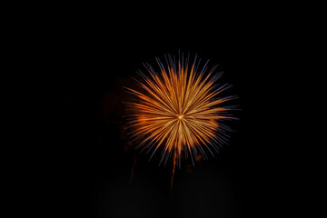 Fototapeta premium Single firework in night sky