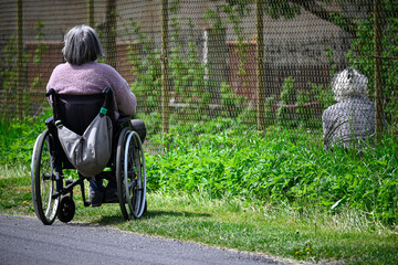 disabled woman in wheelchair talking to old woman sitting in garden behind fence, rear view