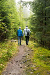 two people walking down a dirt road in the woods forest, tourism, trekking, a route, a path in the forest, active recreation, nature, adventure, the Carpathians