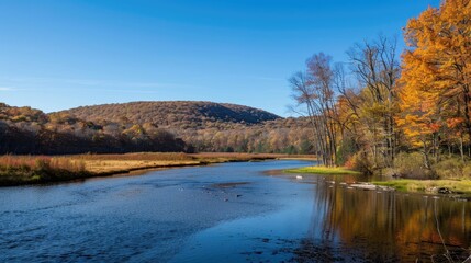 Valley landscape featuring forests and river with hill on right in autumn under clear blue sky