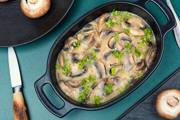 Mushroom champignon sauce with cream.