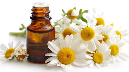 Chamomile Atromatherapy Essential Extract Oil with a chamomile Flower