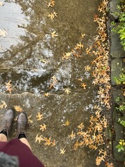 person walking in autumn park in the rain