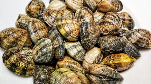 Almejas, clams, marinera