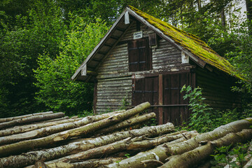 Waldhütte mit gefälltem Holz. Moos auf dem Dach - Holz vor der Hütte, Allgäuer Tor Hütte