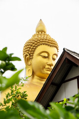The Giant Budah of Bangkok between the green bushes
