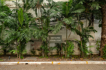 Assembly point parking warning with green palm trees and bushes behind