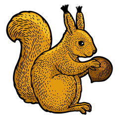 squirrel and hazelnut color sketch engraving PNG illustration. T-shirt apparel print design. Scratch board imitation. Black and white hand drawn image.