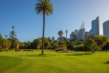 Exposure of Sidney cityscape taken from the Phillip Precinct, commonly referred to as the Domain,...