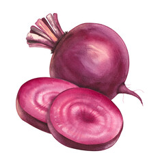 Watercolor beets on a white background. Beetroot isolated hand drawn for print and design. Beet vegetables and beet slices for packaging design, products, chips, fabrics, textiles